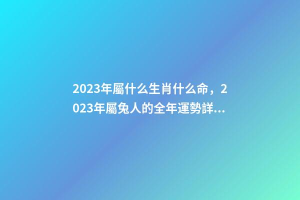 2023年屬什么生肖什么命，2023年屬兔人的全年運勢詳解 猴年2023年運勢及運程-第1張-觀點-玄機派